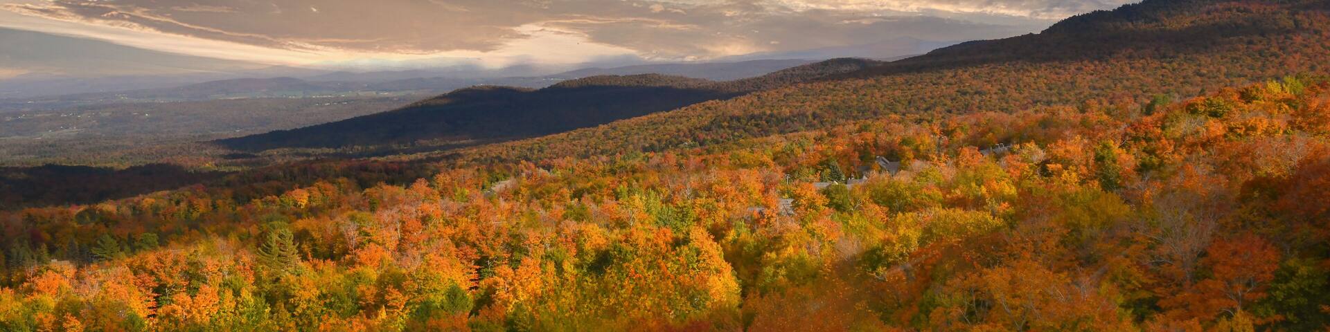 A mountainous landscape with autumn foliage.