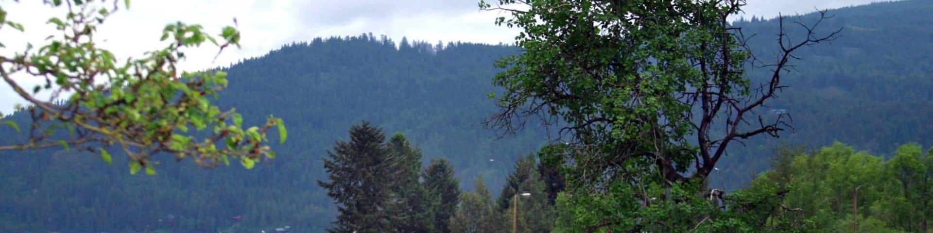 Sandpoint featuring a sandy beach