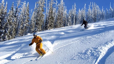 Sandpoint which includes snow skiing