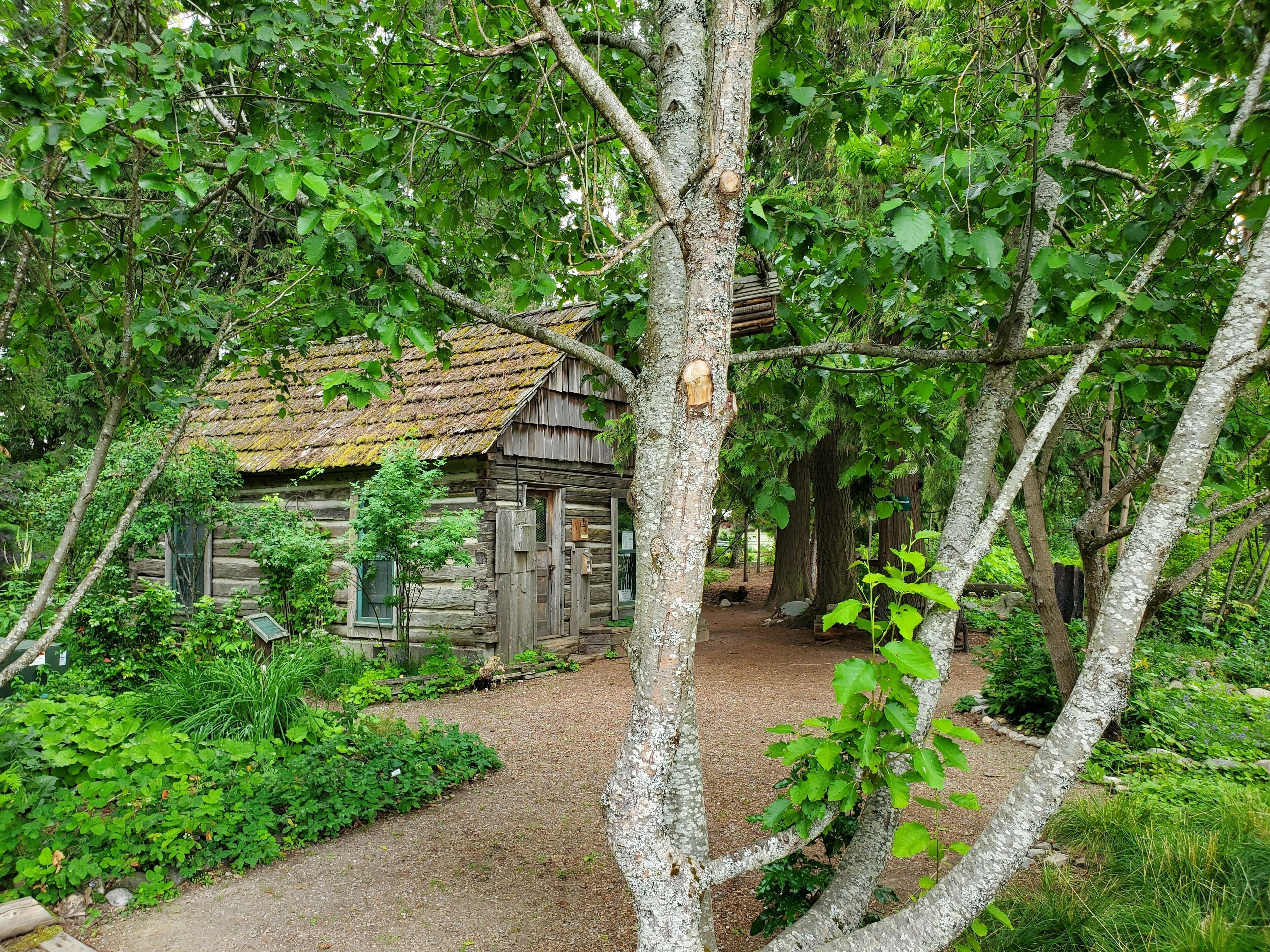 Neat History & I had the place all to myself.