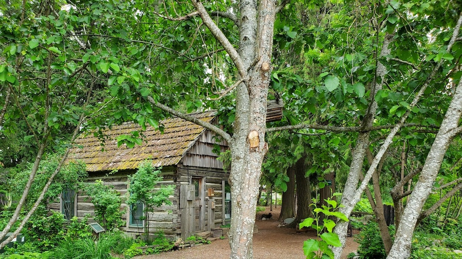 Neat History & I had the place all to myself.