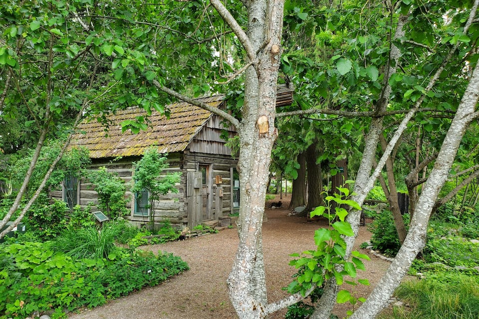 Uma cabana rústica de toras cercada por vegetação exuberante e um caminho de cascalho.