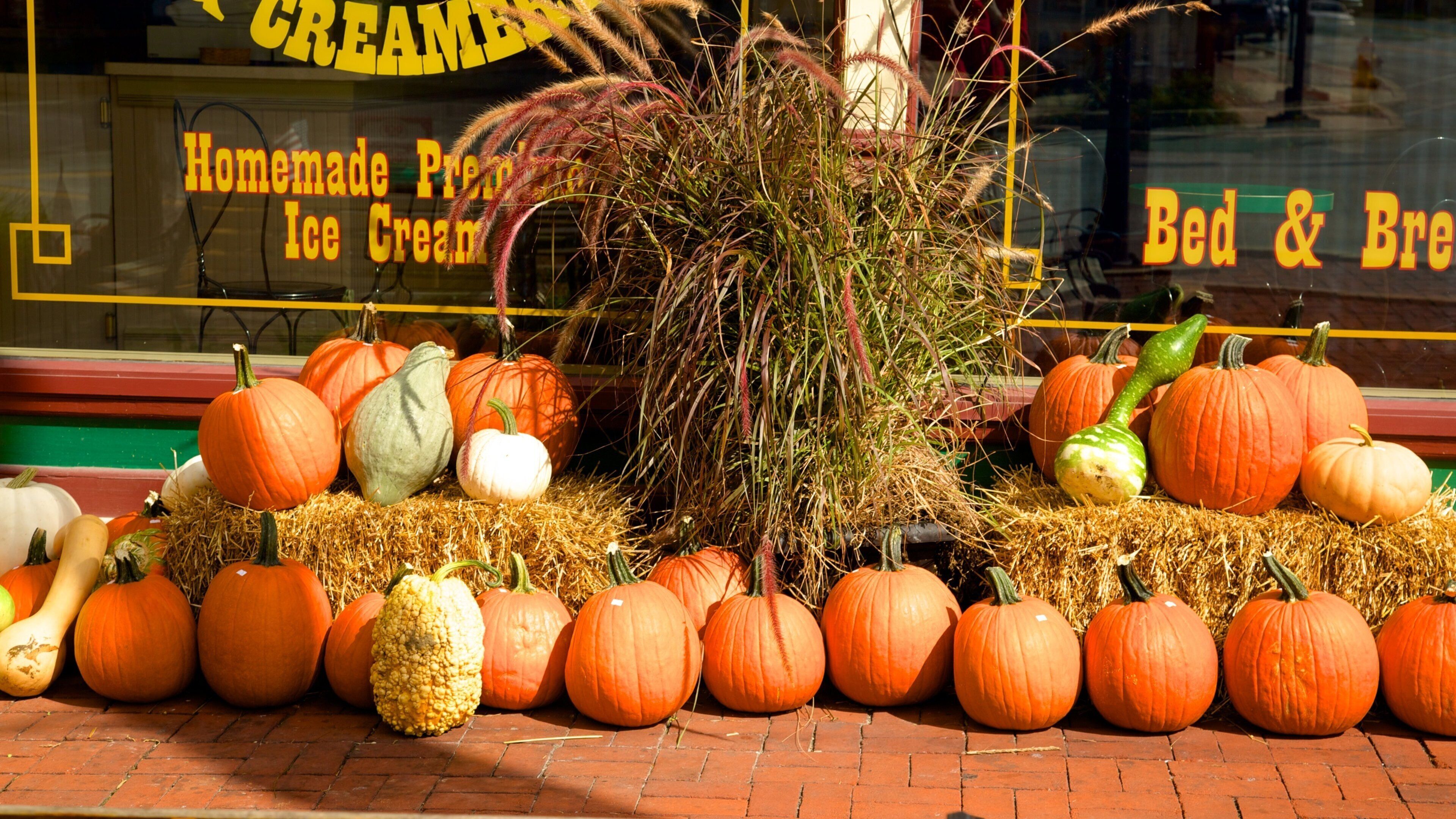 Strasburg featuring food