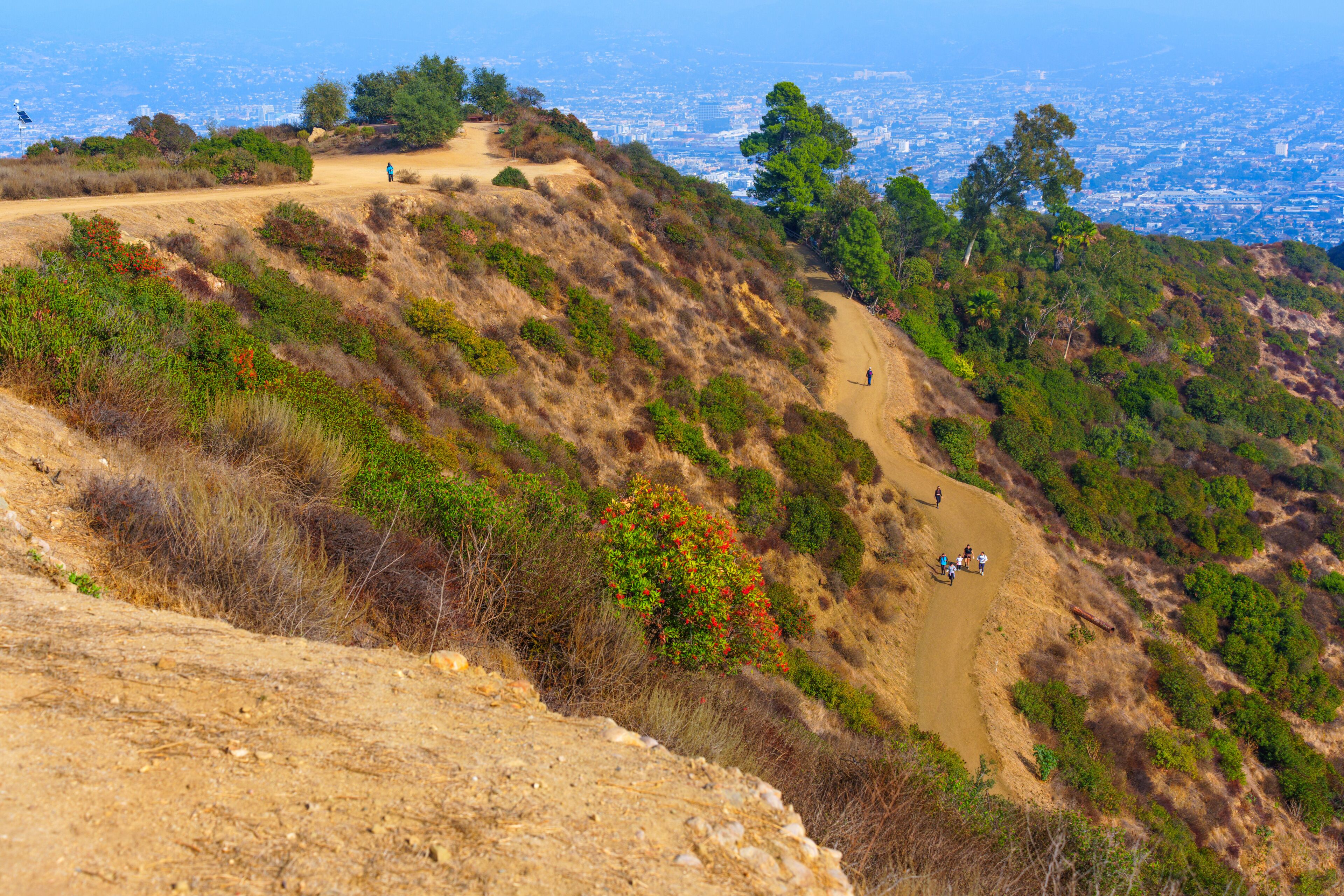 Studio City