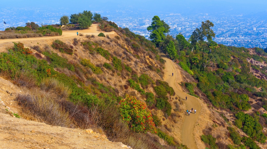 Studio City