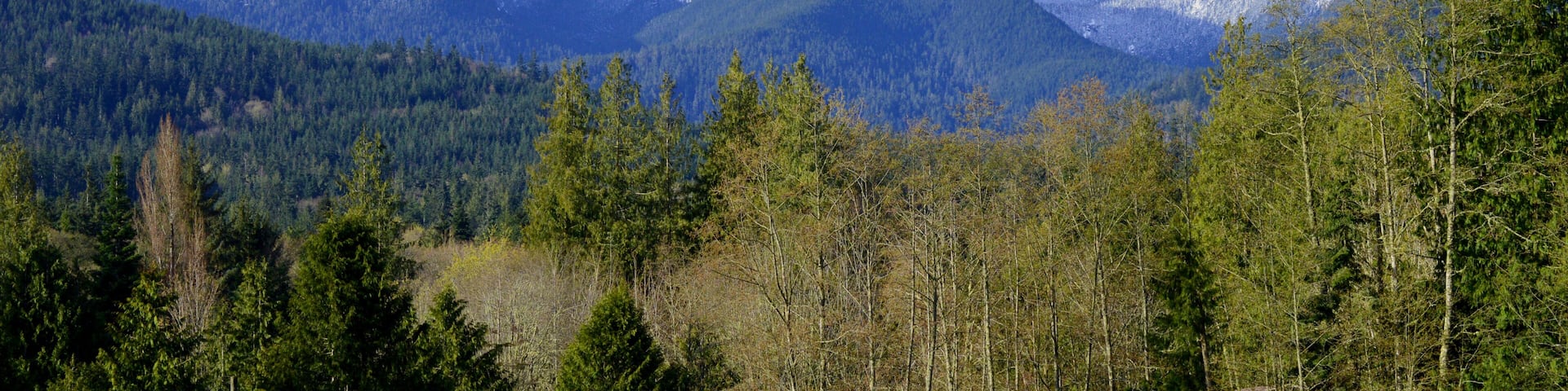 View of Snowy, Cloud strewn Olympic Mountains, Port Angeles, Washington