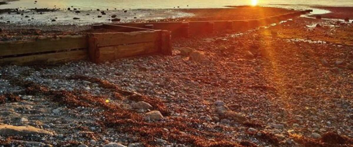 Sunset at Crescent
#goldenhour