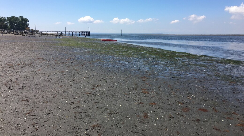 Scarcely inhabited beach is a nice break from the crowds at White Rock or Crescent Beach. Off-leash dog beach keeps Fido happy and a peaceful walking trail to the east allows for easy waterfowl viewing.