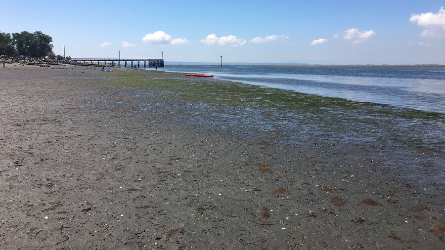 Scarcely inhabited beach is a nice break from the crowds at White Rock or Crescent Beach. Off-leash dog beach keeps Fido happy and a peaceful walking trail to the east allows for easy waterfowl viewing.