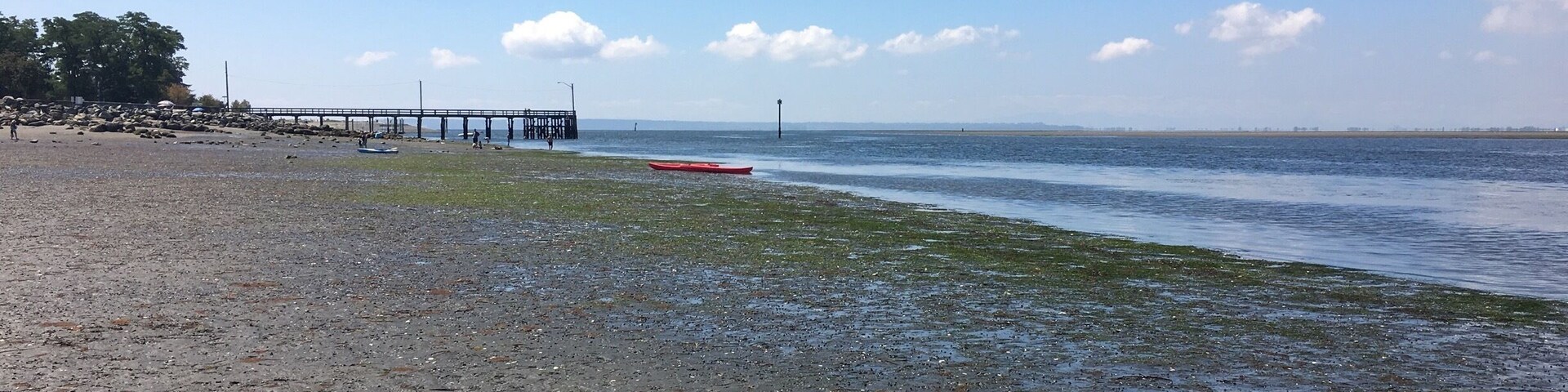 Scarcely inhabited beach is a nice break from the crowds at White Rock or Crescent Beach. Off-leash dog beach keeps Fido happy and a peaceful walking trail to the east allows for easy waterfowl viewing.