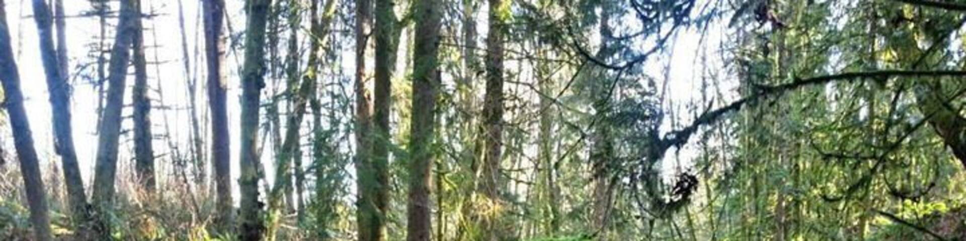 I had never been this way before. This is what happens when you take the road less traveled.