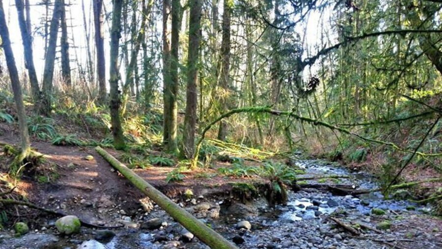 I had never been this way before. This is what happens when you take the road less traveled.