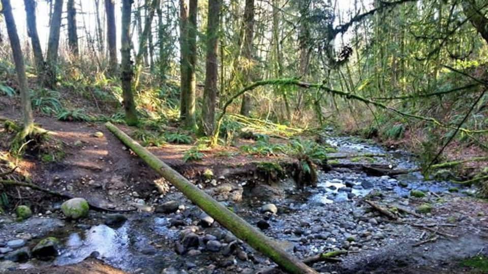 I had never been this way before. This is what happens when you take the road less traveled.