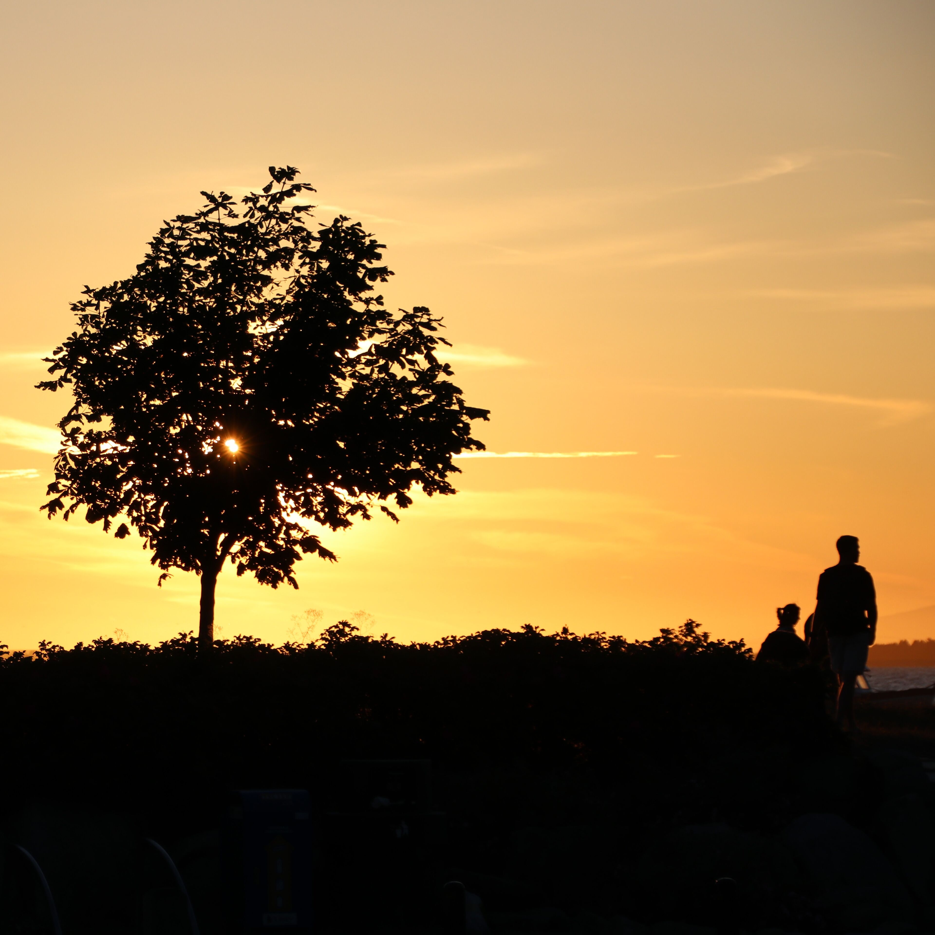 Daylights Soft Glow
The soft golden Ray's of the setting sun draw people of all ages to the shorefront.