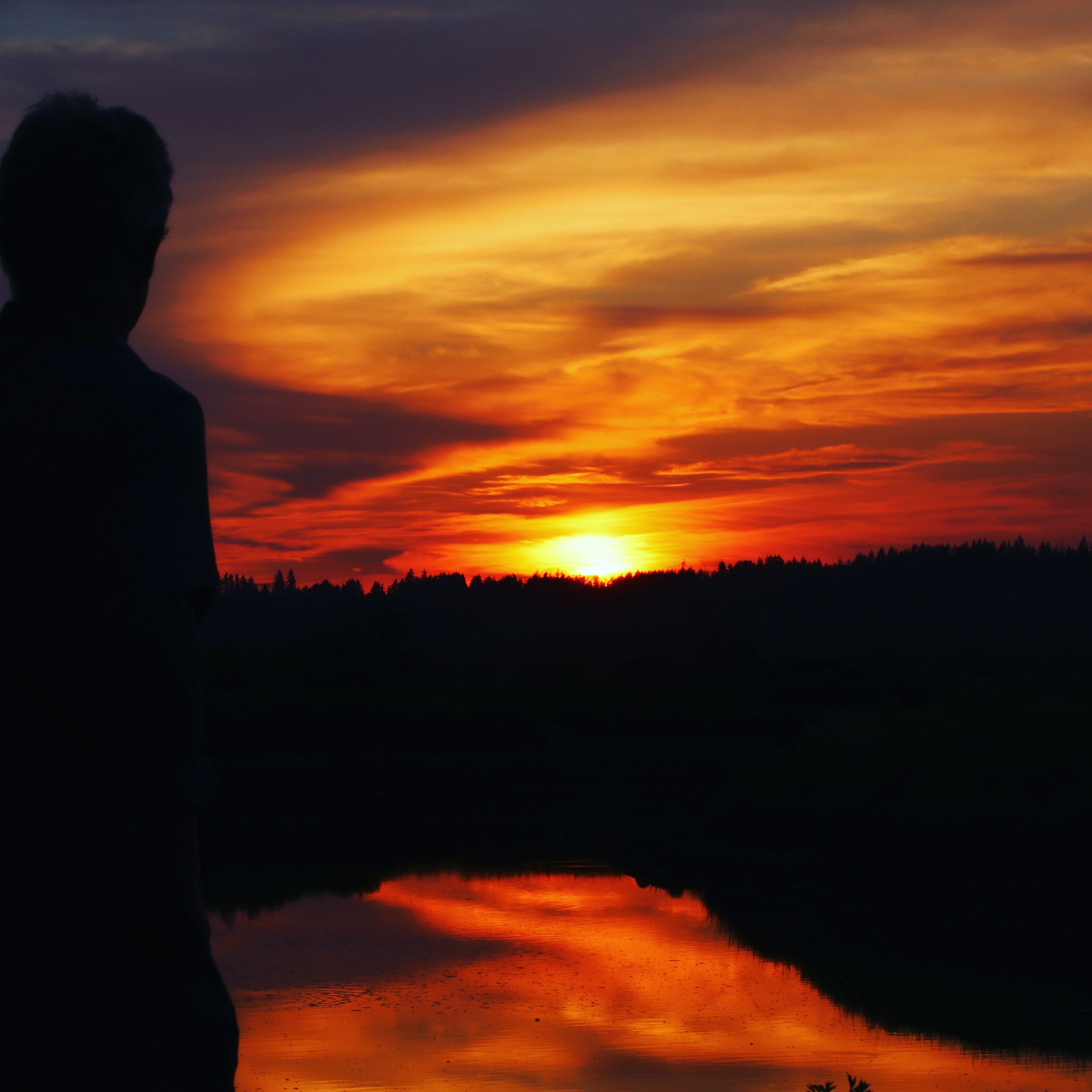 Reflecting at the Serpentine Fen
As I watched the rose gold swirls of the setting sun on the Serpentine water, I reflected on its beauty and tranquility.