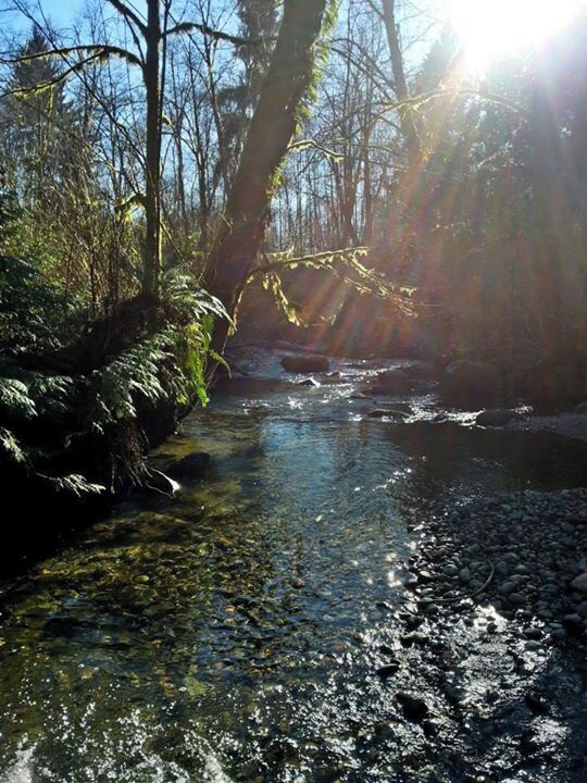 Off the beaten path in Tynehead Regional Park. Surrey, British Columbia