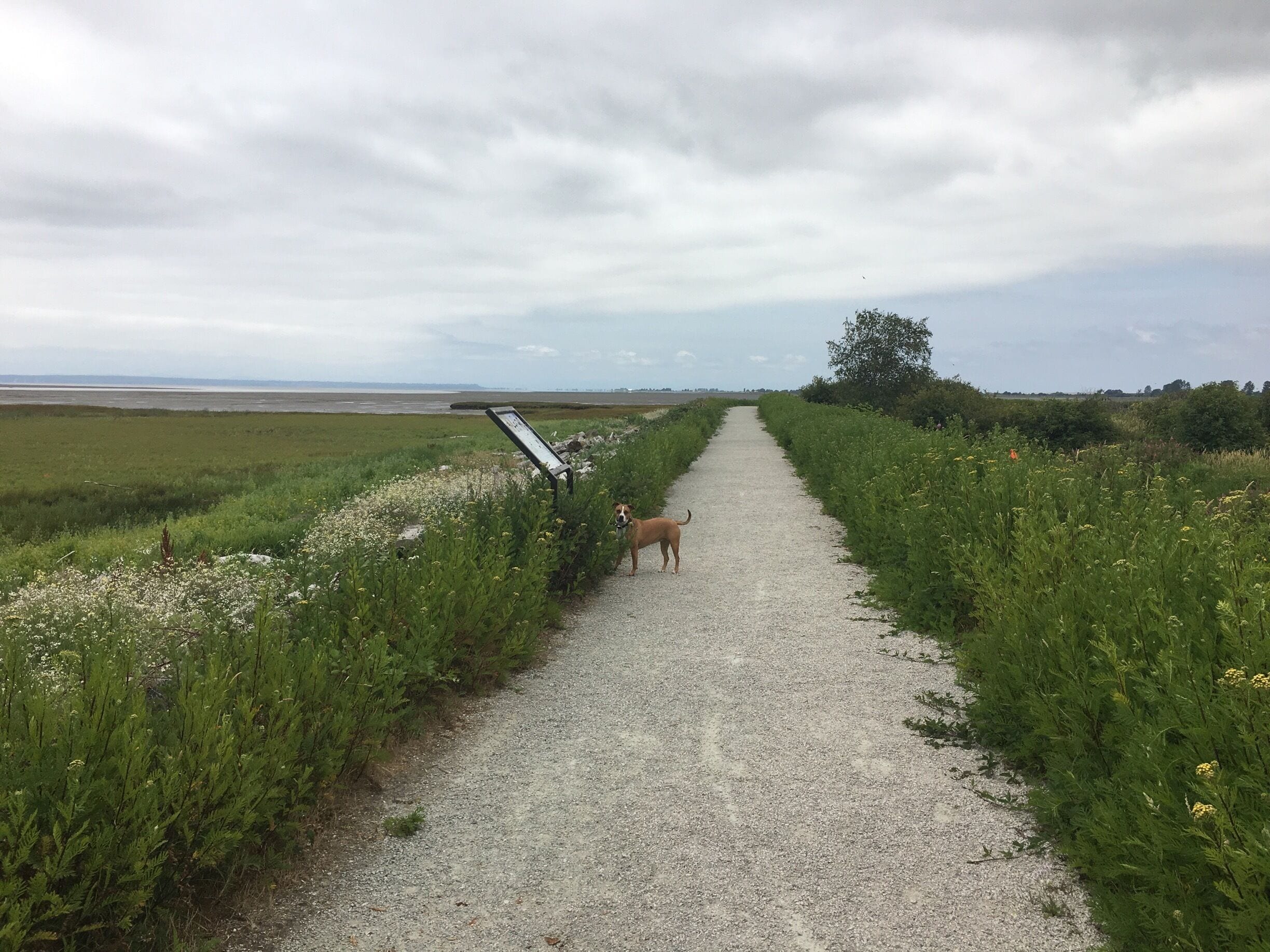A quick jaunt through migratory bird territory. If you can ignore the highway noise on the path that goes beside the road, it's a peaceful short walk along sand marshland. Visit from fall to spring to see the most wildlife (no dogs allowed during these times).