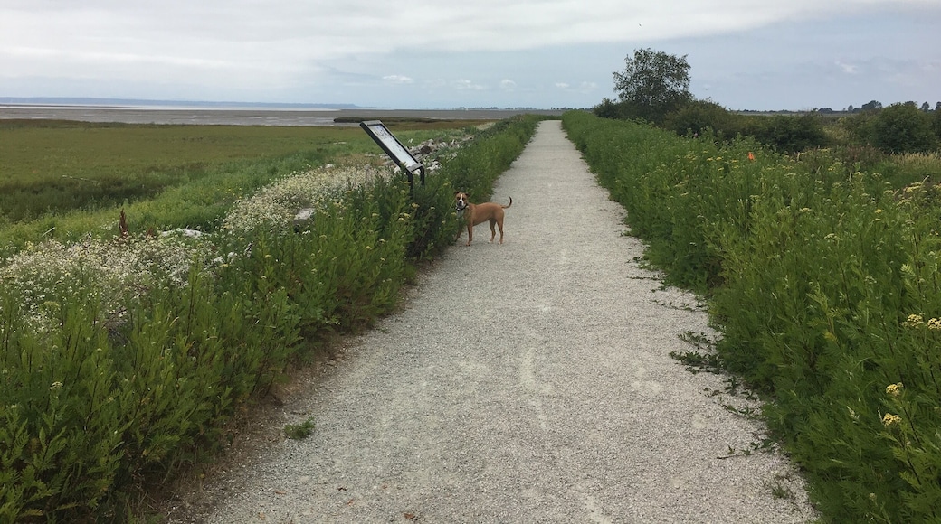 A quick jaunt through migratory bird territory. If you can ignore the highway noise on the path that goes beside the road, it's a peaceful short walk along sand marshland. Visit from fall to spring to see the most wildlife (no dogs allowed during these times).