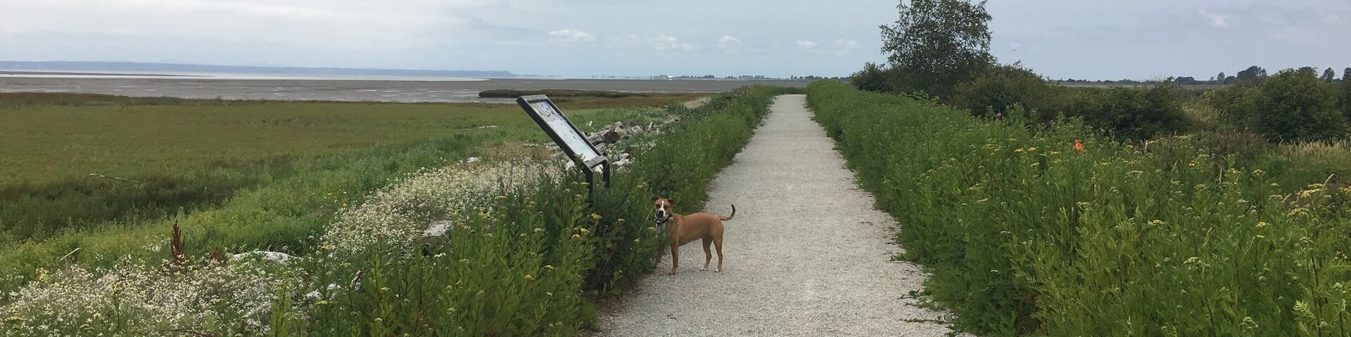 A quick jaunt through migratory bird territory. If you can ignore the highway noise on the path that goes beside the road, it's a peaceful short walk along sand marshland. Visit from fall to spring to see the most wildlife (no dogs allowed during these times).