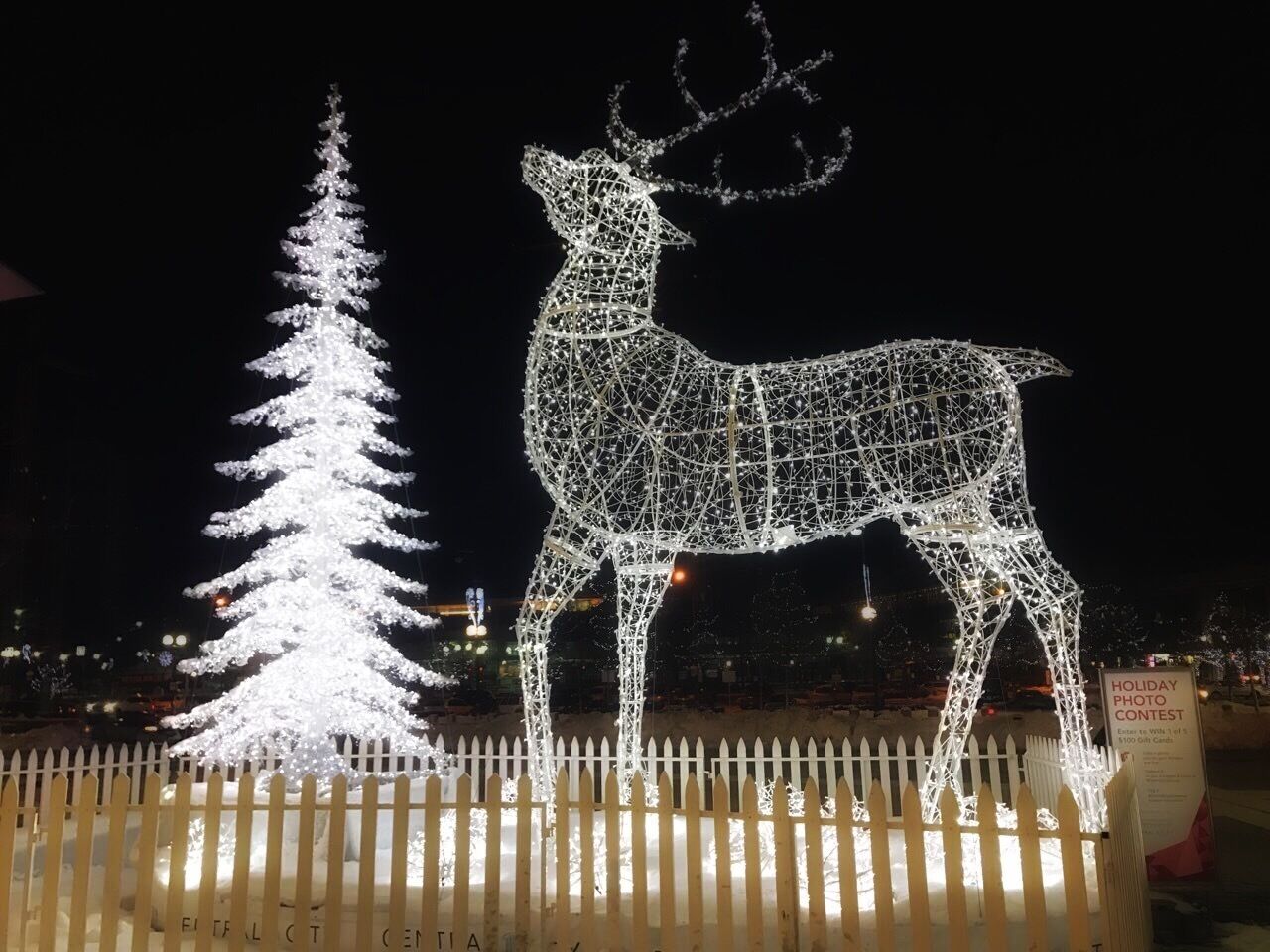 Christmas Lights