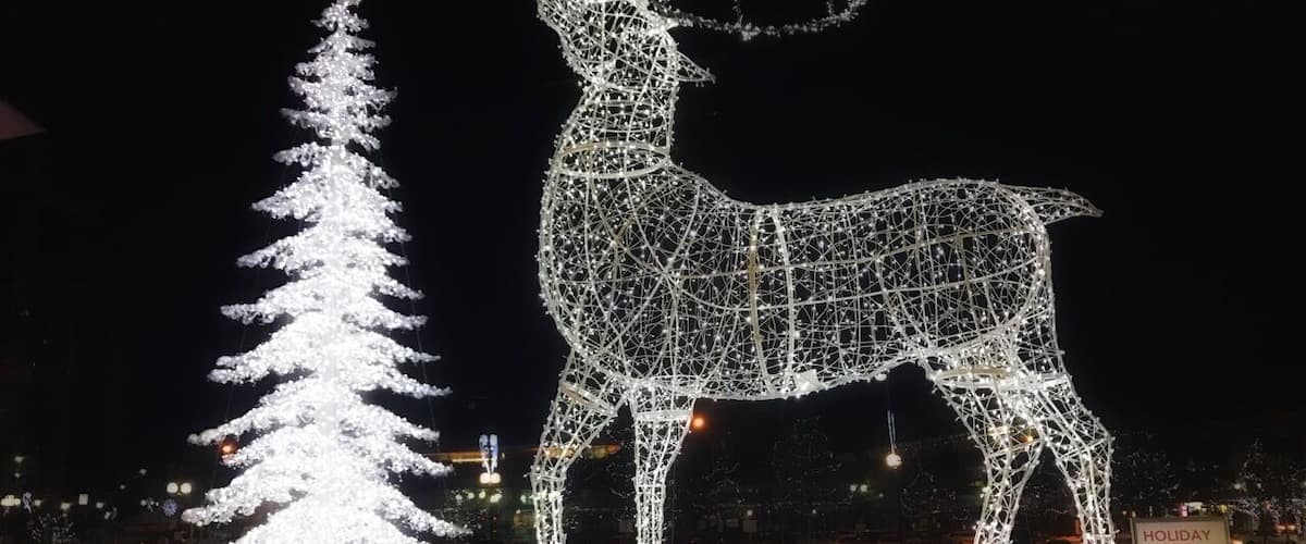 Christmas Lights