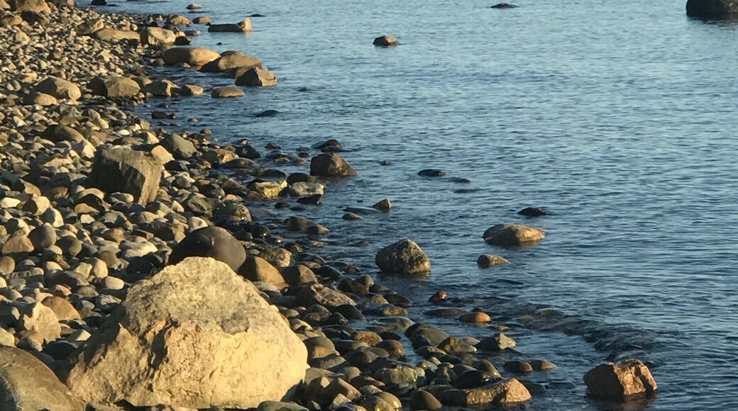 Beautiful March afternoon at the beach
