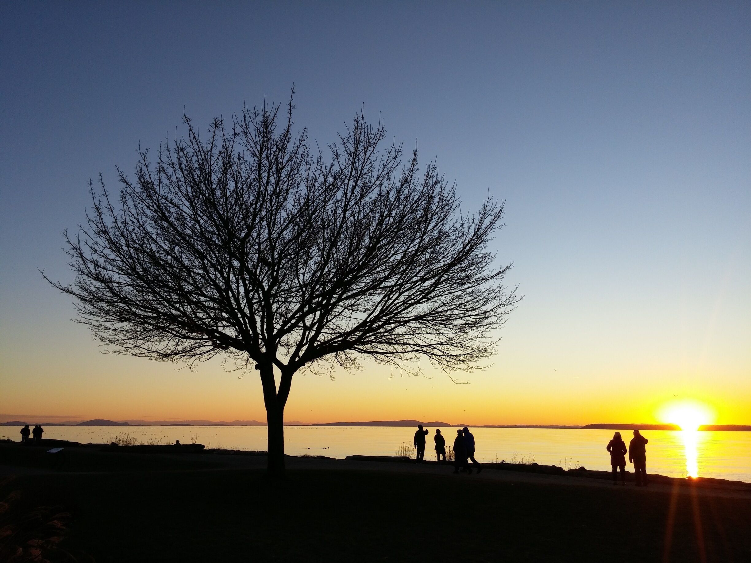 Even though we often walk along the water at Crescent Beach, each time offers a new perspective.
#sunset #crescentbeach
#outdoors
