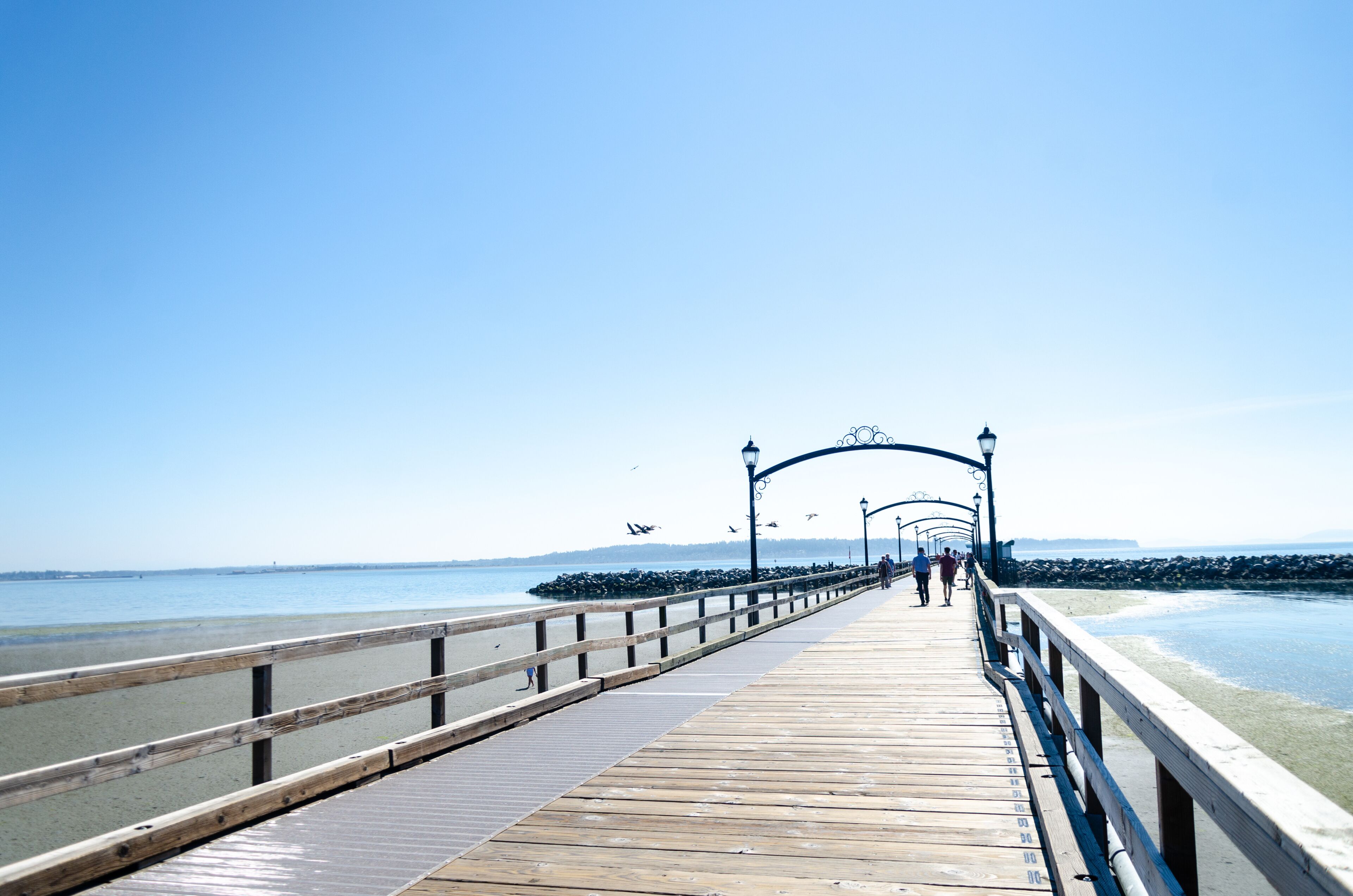 เซอร์เรย์