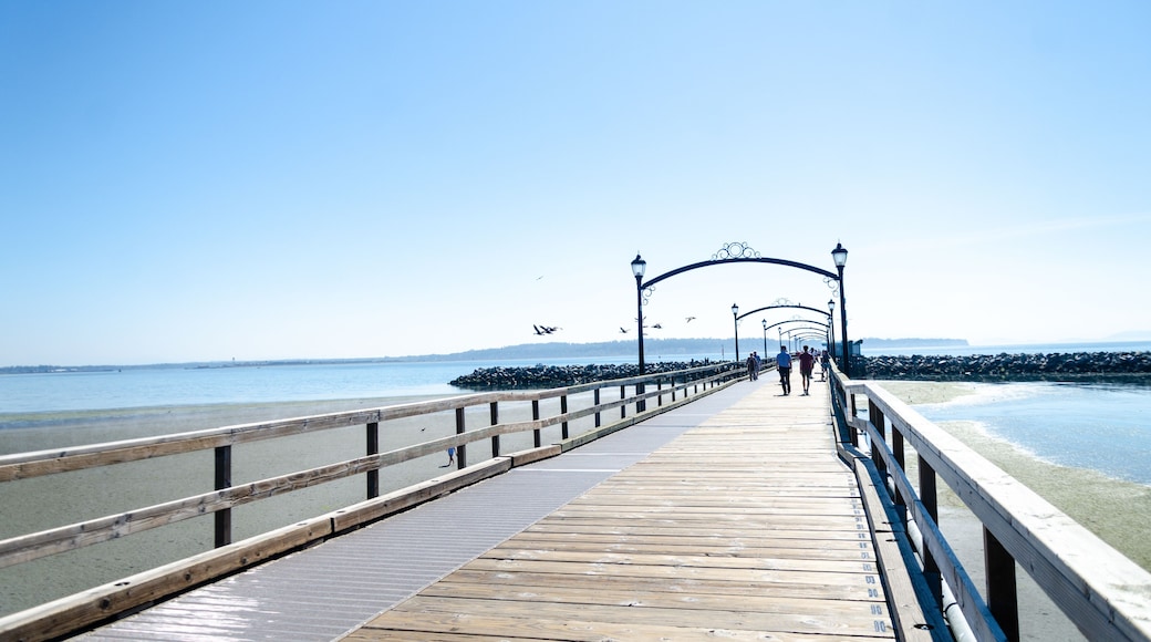 เซอร์เรย์