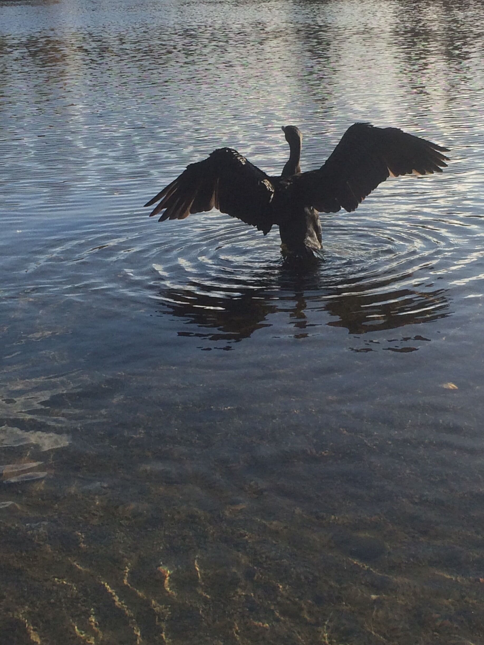 Come on hug me if u can....