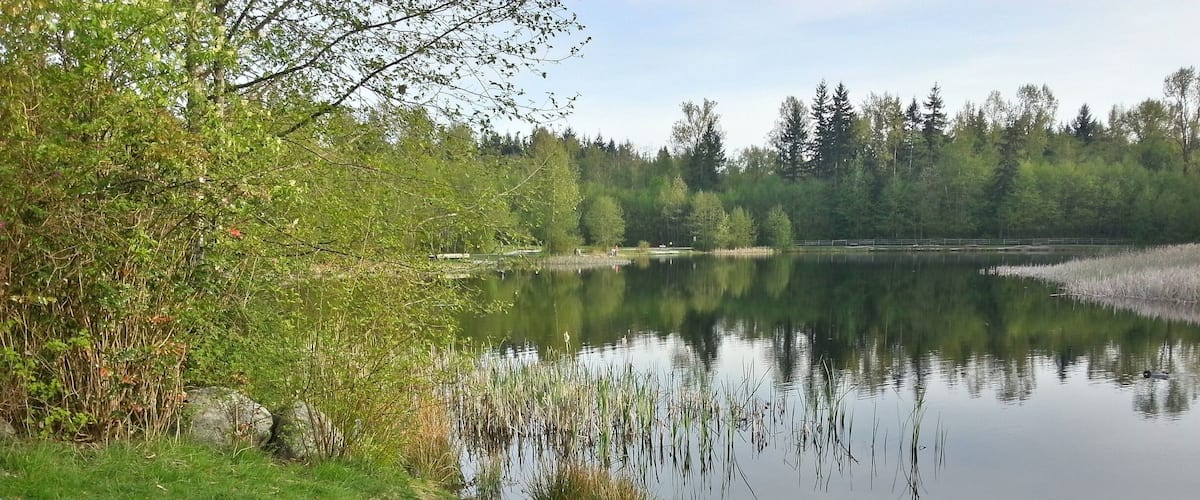 Some visitors by the lake.