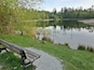 A bench by a calm lake surrounded by trees and grass.