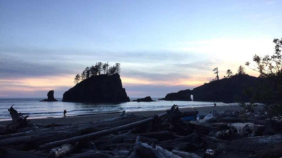 Beach on Olympic National Park, Fork; Port Angeles,WA