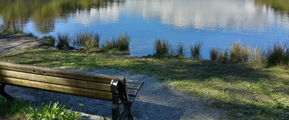 You'd never know you were in the city. They stock this small lake several times a year with rainbow trout. If you have a fishing license you can try and catch one. This is where I am right..... Now.