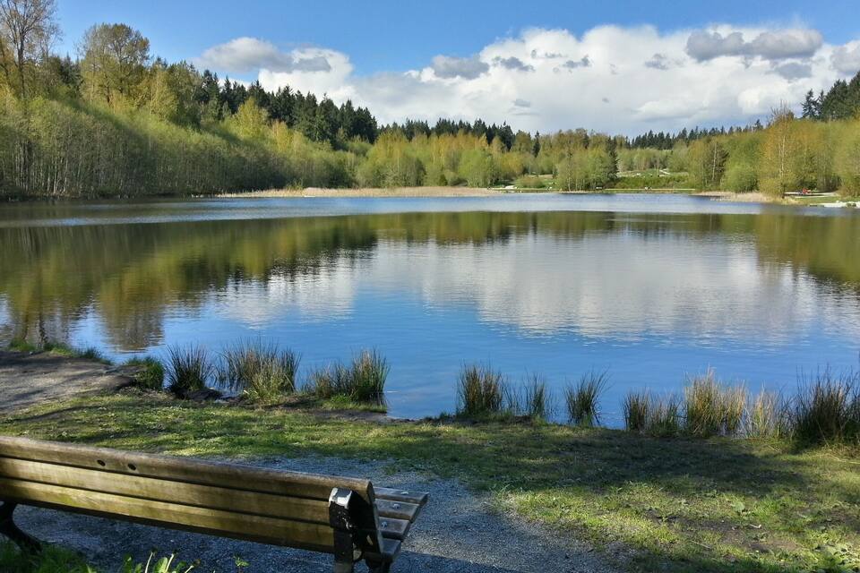 Um lago tranquilo com um banco de madeira em primeiro plano, rodeado por árvores e um céu claro.