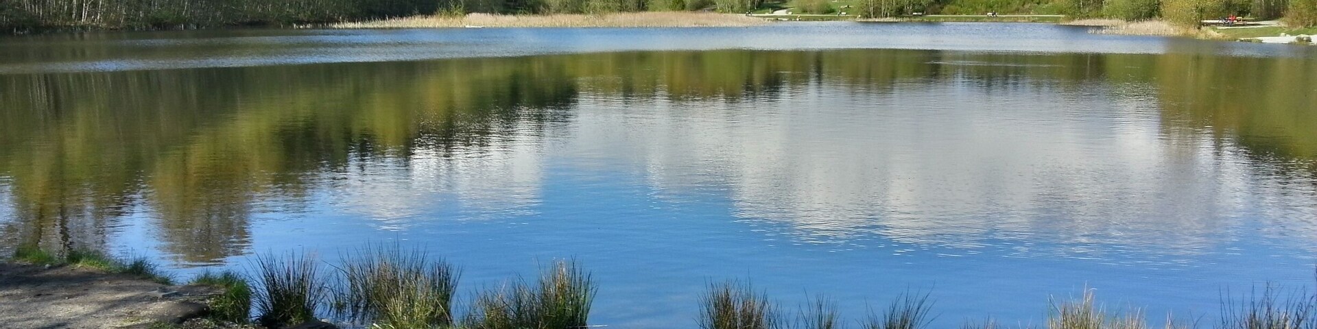 You'd never know you were in the city. They stock this small lake several times a year with rainbow trout. If you have a fishing license you can try and catch one. This is where I am right..... Now.