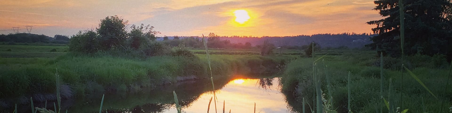 The setting sun reflected golden rays across the still waters of the Serpentine Fen.