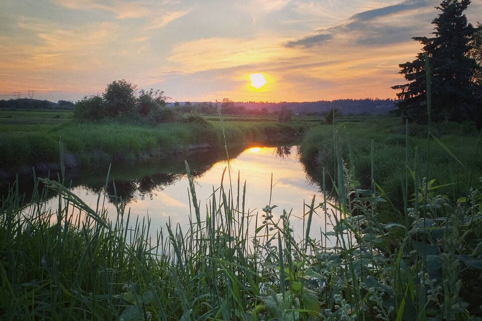Un coucher de soleil sur une rivière paisible, entourée de verdure et d’arbres.