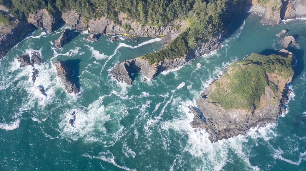 The colorful Pacific Ocean washes against the scenic, rugged coastline of southern Oregon. This beautiful region of the Pacific Northwest is accessible via highway 101.