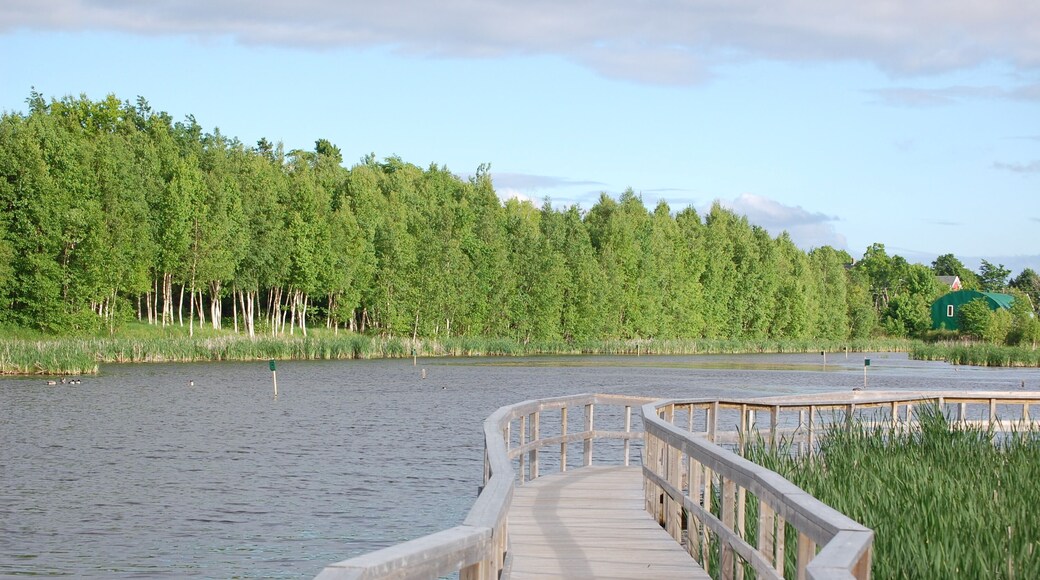 Wetlands and Nature Trail in Sackville, Canada