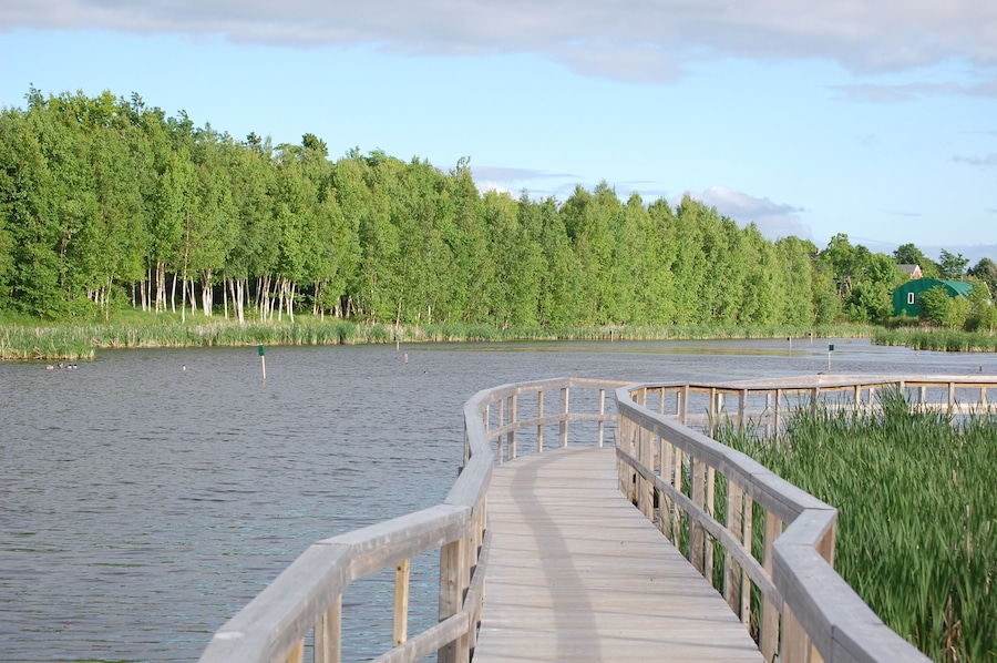 Wetlands and Nature Trail in Sackville, Canada