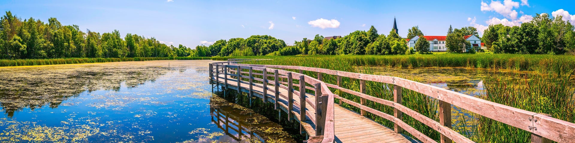 Sackville Waterfowl Park summer afternoon landscape along the boardwalk trail in New Brunswick, Canada
