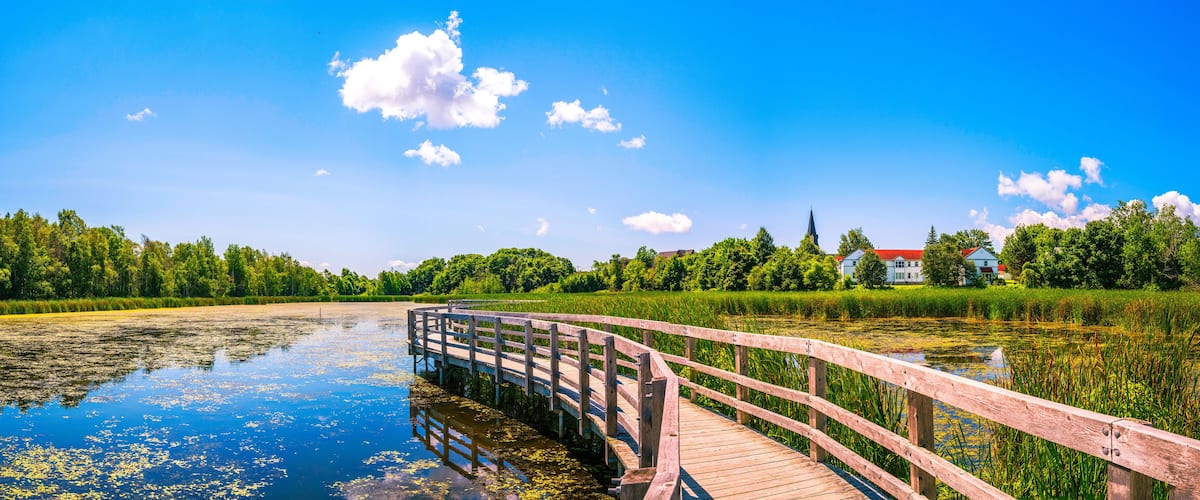 A wooden bridge over a calm lake with lily pads, surrounded by lush greenery and a church in the background.