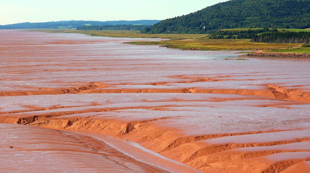 Sandy shore at low tide in the Bay of Fundy in Sackville New Brunswick, Canada