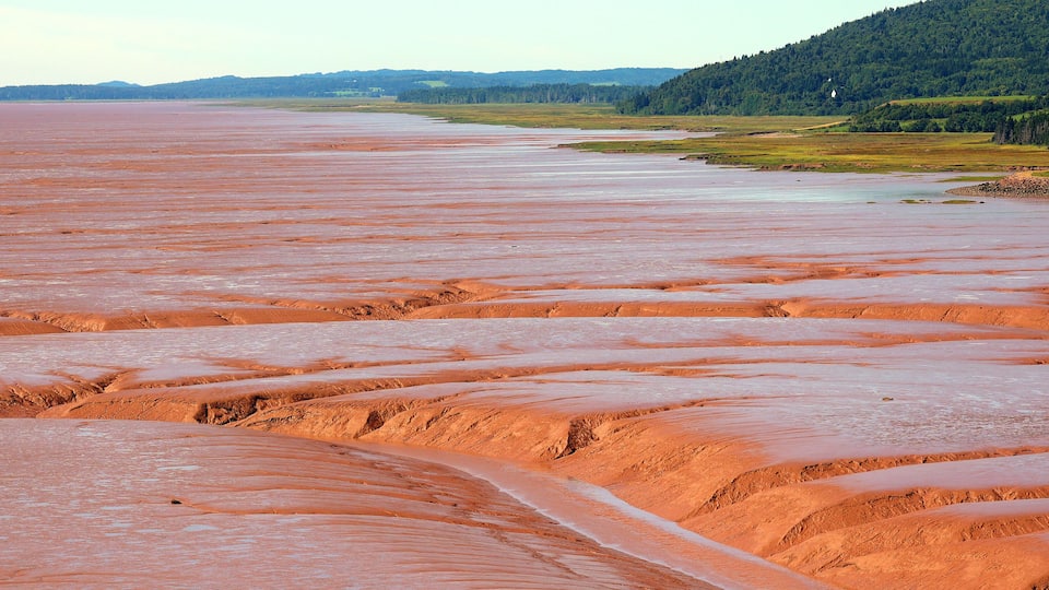 A vast salt flat with layered terrain and distant forested hills.