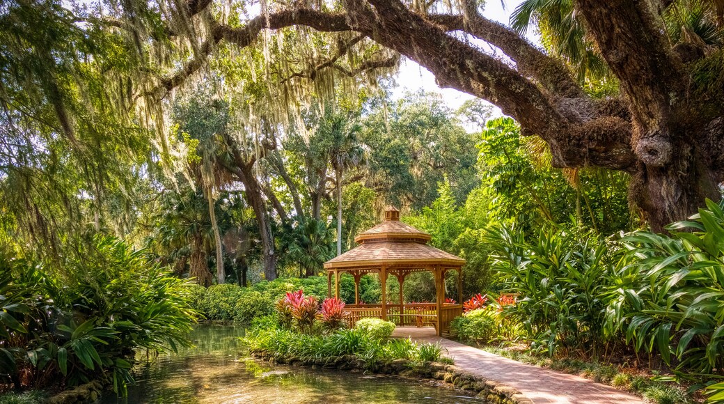 Pond in the Washington Oaks Historic District of Washington Oaks Gardens State Park in Palm Coast Florida USA