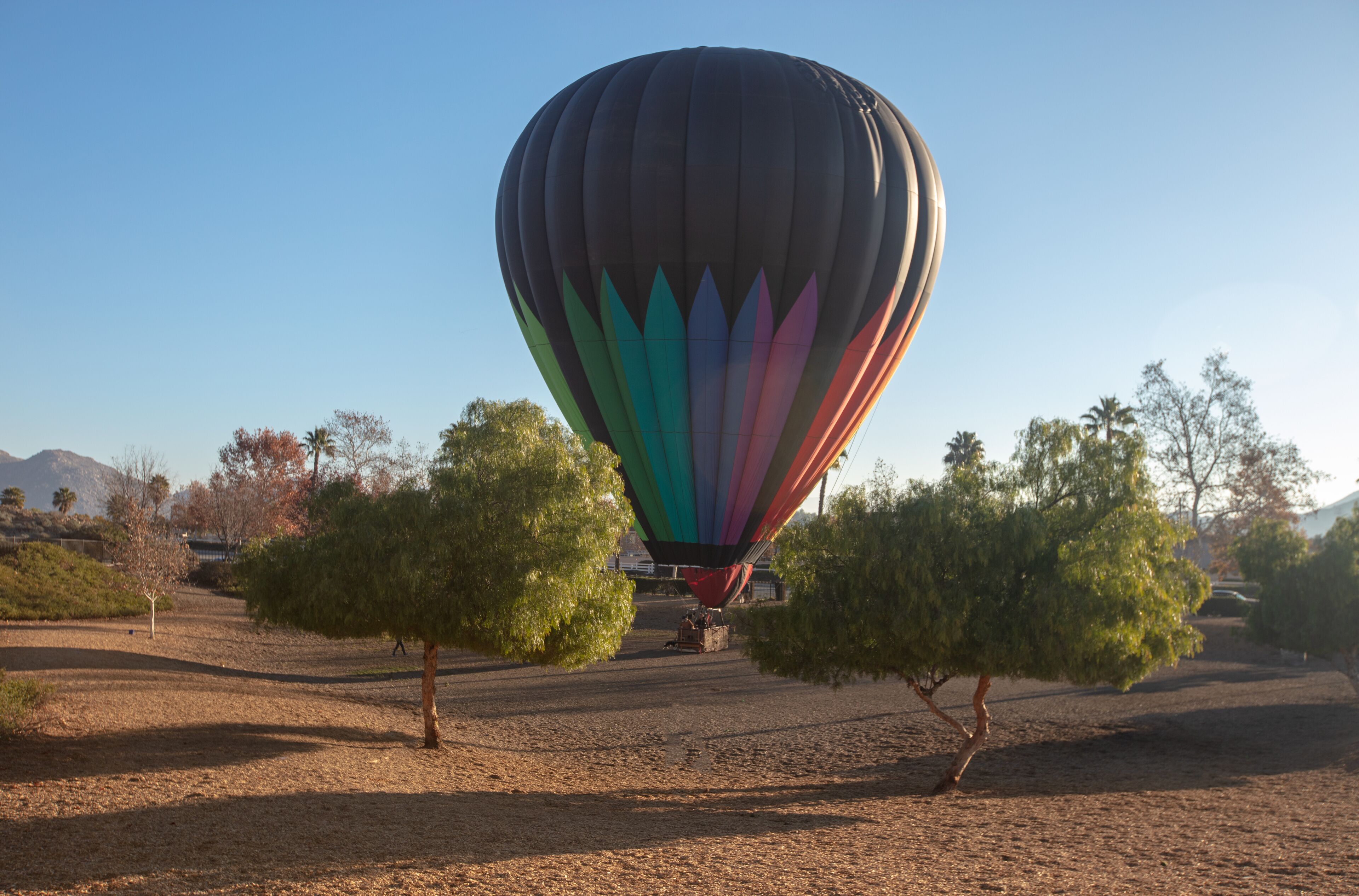 Hot air balloon landing in a park in the early morning golden hour over the Temecula Valley in southern California United States