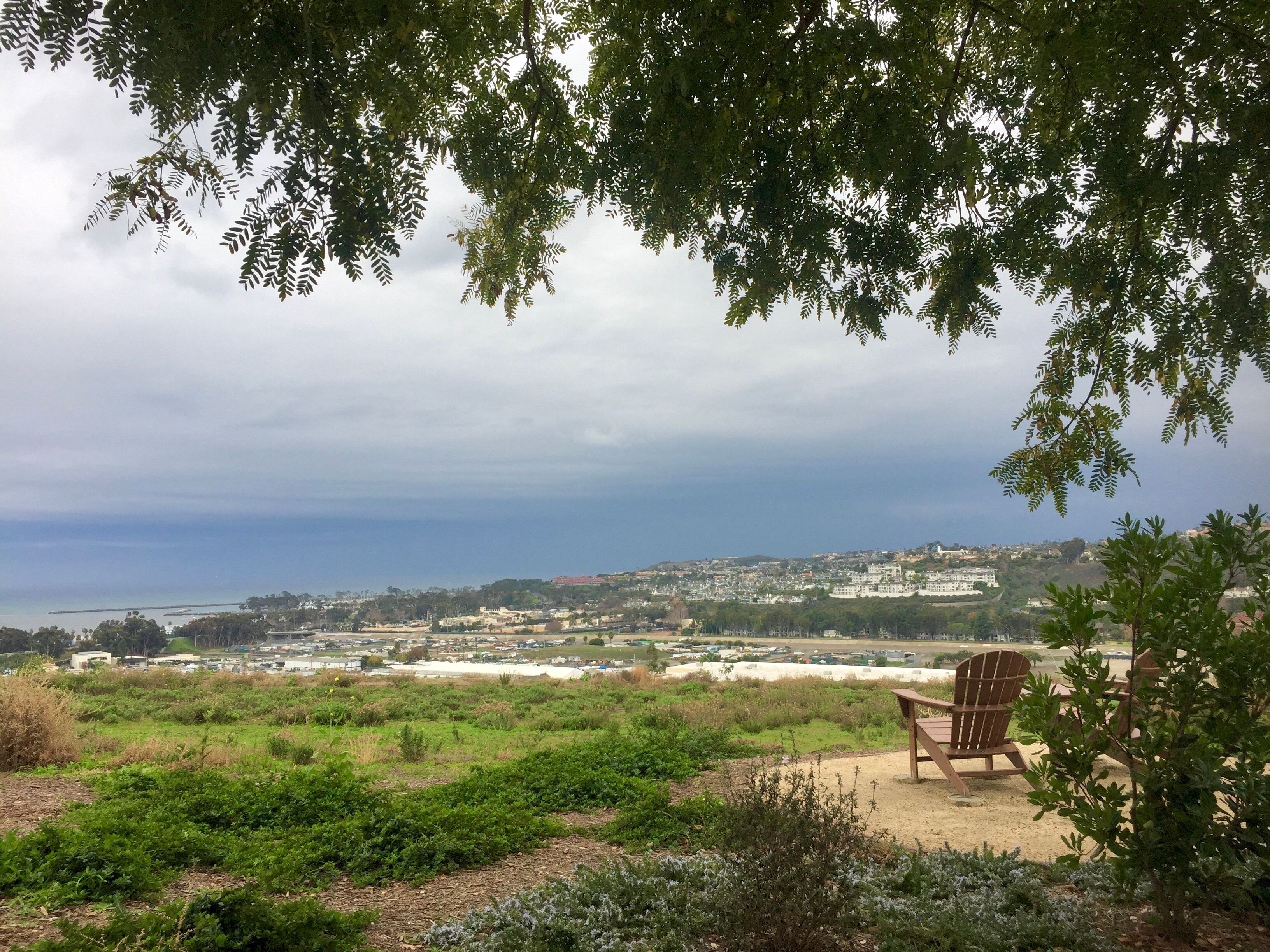 Paisaje costero con una silla bajo un árbol, con vistas a un pueblo y al mar.