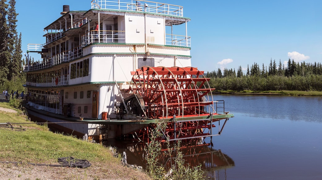 A large paddle wheel boat docked at a riverbank with a forest in the background.