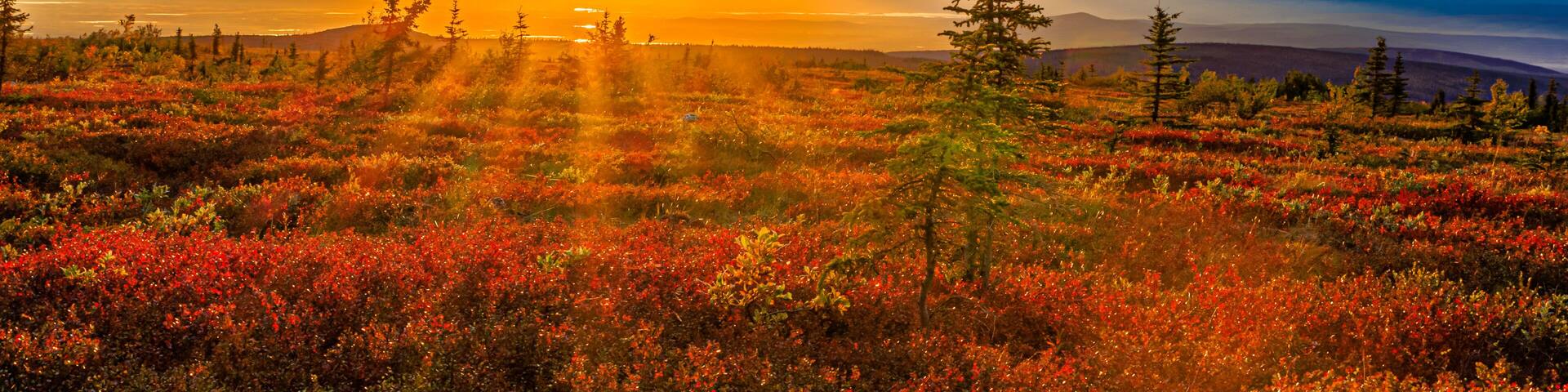 Alaska Sunset